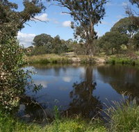 Cooleman Ridge - Taree Accommodation