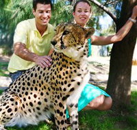 National Zoo  Aquarium - Taree Accommodation