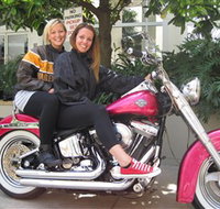 Wild Ride Harley and Motorcycle Tours - Taree Accommodation