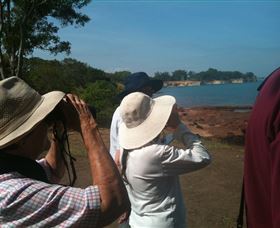 Follow That Bird - Taree Accommodation 0