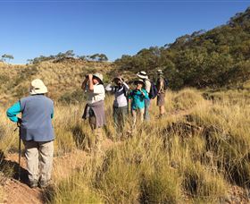 Follow That Bird - Taree Accommodation 1
