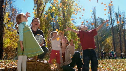 Cotter Avenue Recreation Area - Taree Accommodation 3