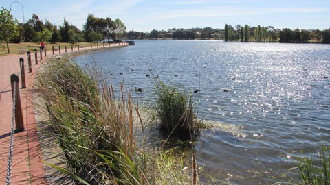 Yerrabi Pond - Taree Accommodation 1
