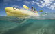 Cape Byron Kayaks - thumb 2