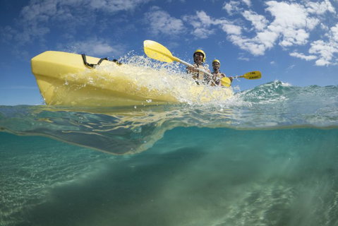 Cape Byron Kayaks - Taree Accommodation 2