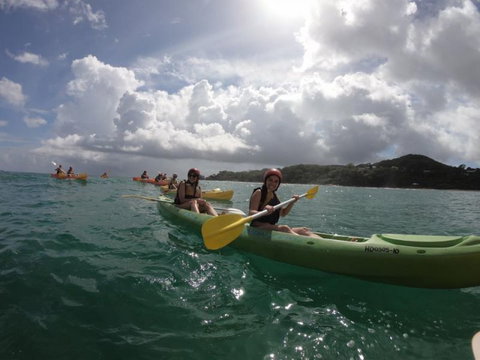 Cape Byron Kayaks - Taree Accommodation 3