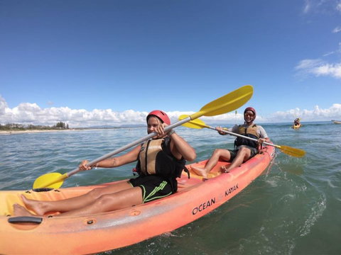 Cape Byron Kayaks - Taree Accommodation 6
