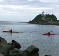 Newcastle Kayak Tours
