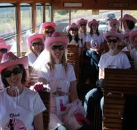 Newcastles Famous Tram