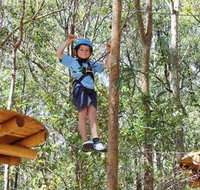 TreeTops Newcastle - Taree Accommodation