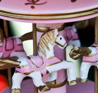 Newcastle City Farmers Markets