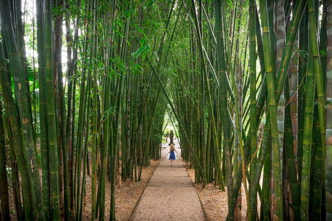 Crystal Castle & Shambhala Gardens - Taree Accommodation 1