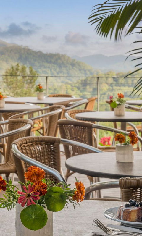 Crystal Castle & Shambhala Gardens - Taree Accommodation 2