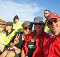 Byron Bay Whale Watching - Taree Accommodation