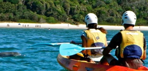 Go Sea Kayak - Taree Accommodation 2