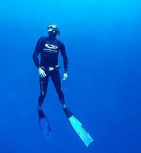 Byron Bay Dive Centre - Taree Accommodation 1