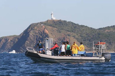 Byron Bay Dolphin Wildlife Tours - Taree Accommodation 1