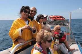 Byron Bay Dolphin Wildlife Tours - Taree Accommodation 2