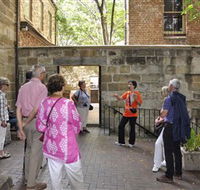 Free Tours Sydney - Taree Accommodation