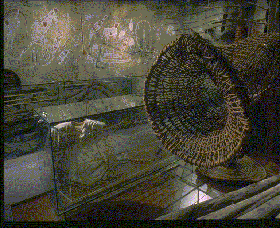 Australian Museum - Taree Accommodation 3