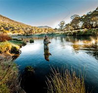 Fly Fishing Tumut - Taree Accommodation