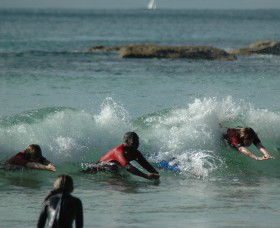 SEA Australia - Taree Accommodation 2