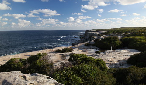 Cape Solander - Taree Accommodation 0