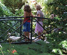 EG Waterhouse National Camellia Garden - Taree Accommodation 0