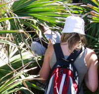 Palm Jungle loop track - Taree Accommodation