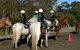 Darkes Forest Riding Ranch - thumb 0
