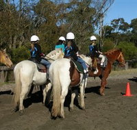 Darkes Forest Riding Ranch - Taree Accommodation