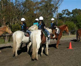 Darkes Forest Riding Ranch - Taree Accommodation 0