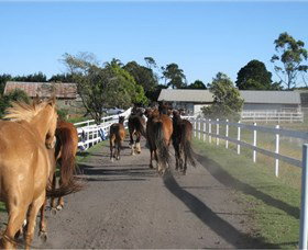 Darkes Forest Riding Ranch - Taree Accommodation 1