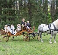Classic Carriage Drives - Taree Accommodation