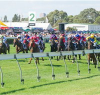 Morphettville Racecourse - Taree Accommodation