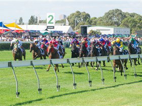 Morphettville Racecourse - Taree Accommodation 0