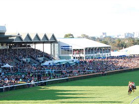 Morphettville Racecourse - Taree Accommodation 1