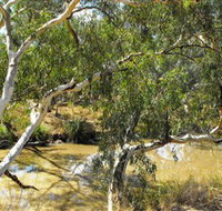 Quilberry Creek Fishing - Taree Accommodation