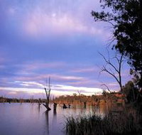 Loch Luna Game Reserve and Moorook Game Reserve - Taree Accommodation