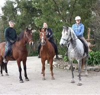 Academy of Dressage - Taree Accommodation