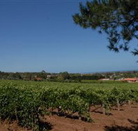 Grancari - Taree Accommodation