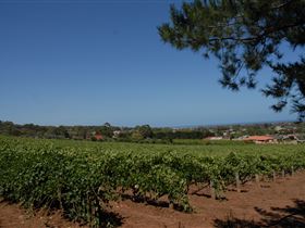 Grancari - Taree Accommodation 0