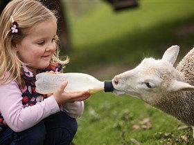 Hahndorf Farm Barn - Taree Accommodation 0