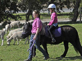 Hahndorf Farm Barn - Taree Accommodation 2