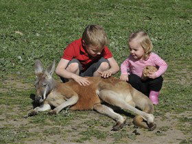 Hahndorf Farm Barn - Taree Accommodation 3