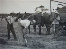 Platform 1 Heritage Farm Railway - Taree Accommodation 3