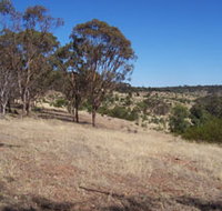 Onkaparinga River National Park - Taree Accommodation