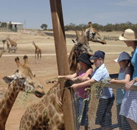 Monarto Open Range Zoo - Taree Accommodation