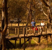 Loxton's Drives Walks and Trails - Taree Accommodation