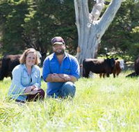 Wakefield Grange - Taree Accommodation